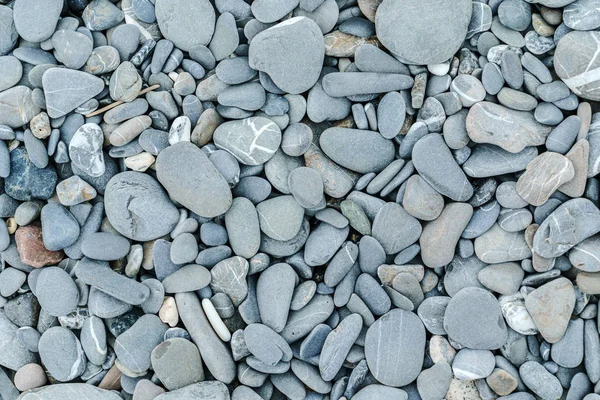 Graue Kieselsteine am Strand — Stockfoto