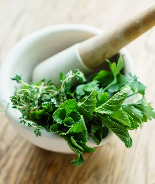 Mortar with fresh herbs — Stock Photo, Image