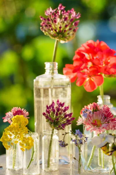 Brilhante diferentes flores de verão — Fotografia de Stock