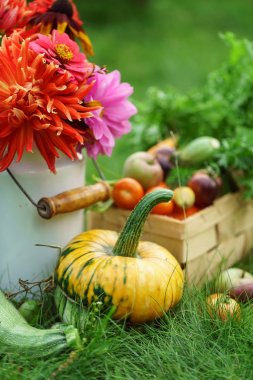 Parlak sonbahar düzenleme