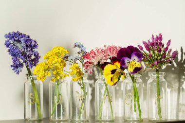 Parlak taze yaz çiçek