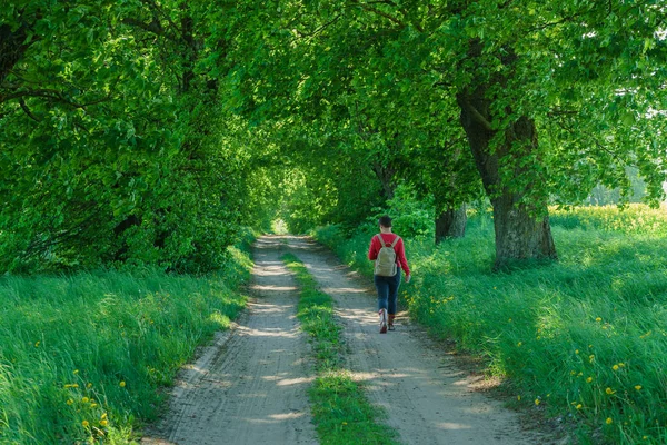 Green summer alley — Stock Photo, Image