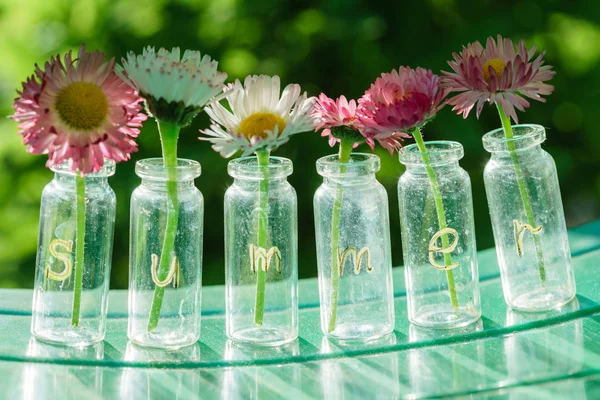 Ljusa färska sommarblommor — Stockfoto