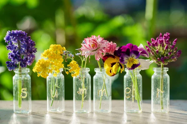 Bright fresh summer flowers — Stock Photo, Image