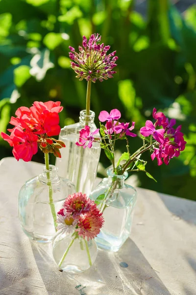 Strahlend frische Sommerblumen — Stockfoto