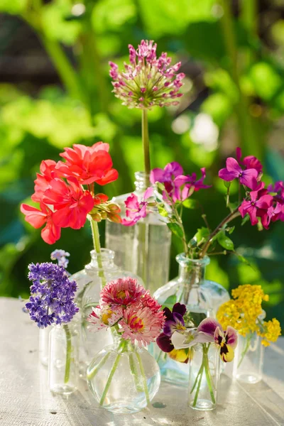 明るく新鮮な夏の花 — ストック写真