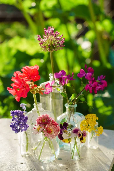 Ljusa färska sommarblommor — Stockfoto