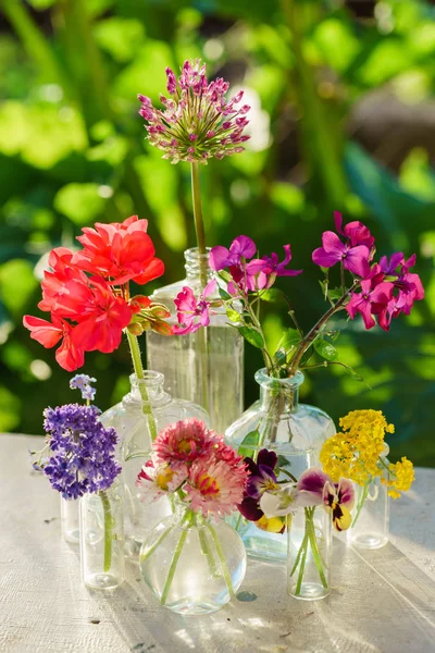 Brilhantes flores frescas de verão — Fotografia de Stock