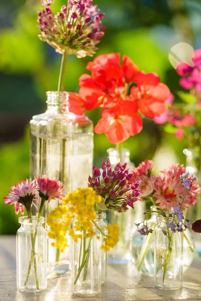 Brilhantes flores frescas de verão — Fotografia de Stock