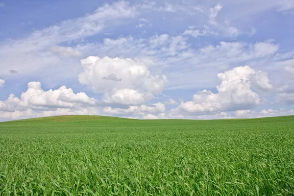 Schöne Aussicht auf die Landschaft — Stockfoto