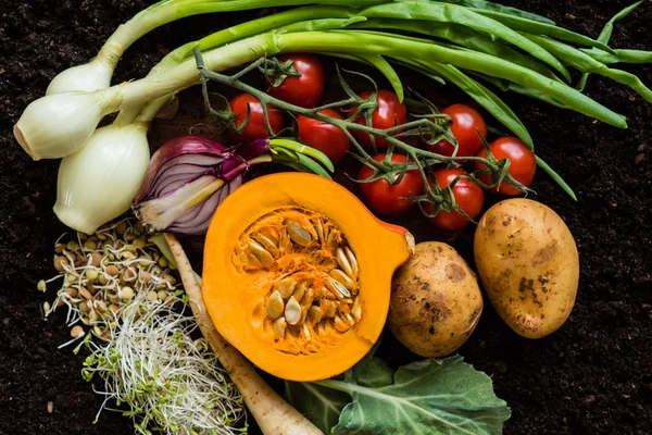 Produtos hortícolas biológicos frescos — Fotografia de Stock