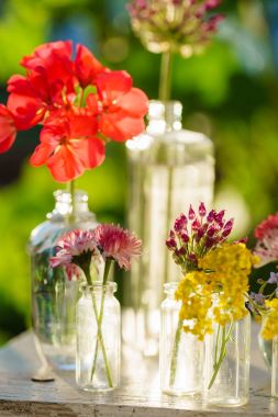  aydınlık yaz çiçek