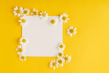 Papatya çiçek kağıt kartındaki 