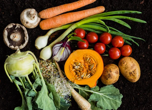 Légumes frais biologiques — Photo