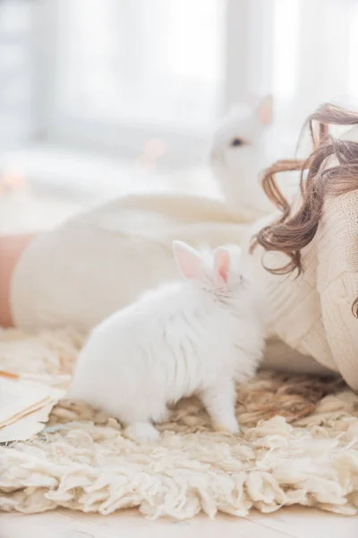 Young woman with rabbits — Stock Photo, Image