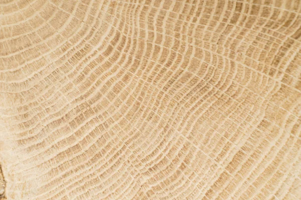 Анотація дерев'яними тлі — стокове фото