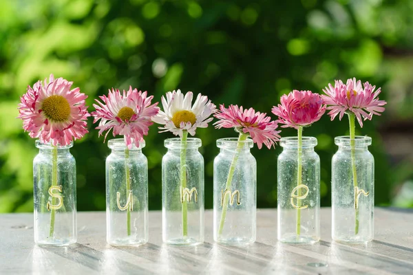 Heldere zomerbloemen — Stockfoto