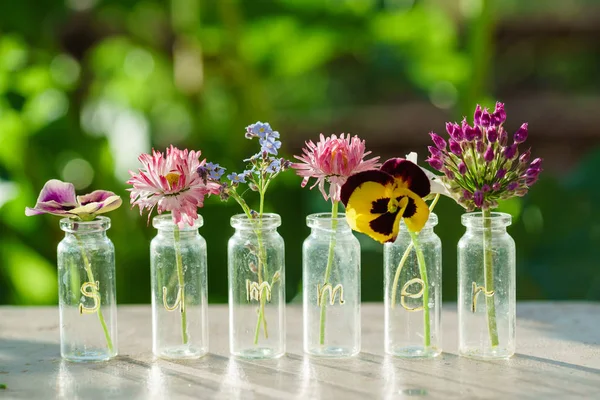 Bright summer flowers — Stock Photo, Image