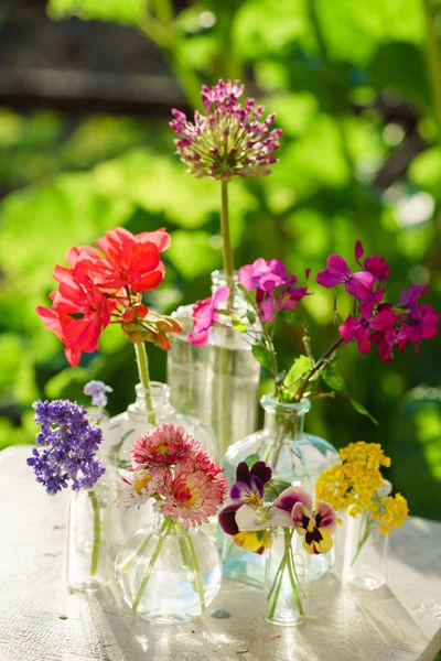 Ljusa sommarblommor — Stockfoto