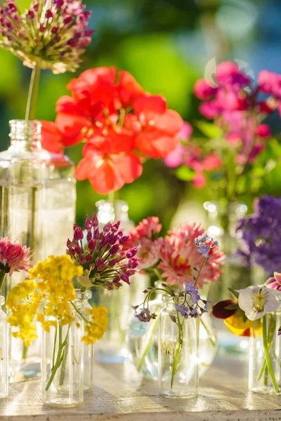 Brilhantes flores de verão — Fotografia de Stock