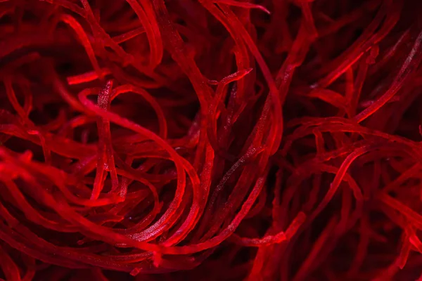 Sfondo rosso barbabietola — Foto Stock