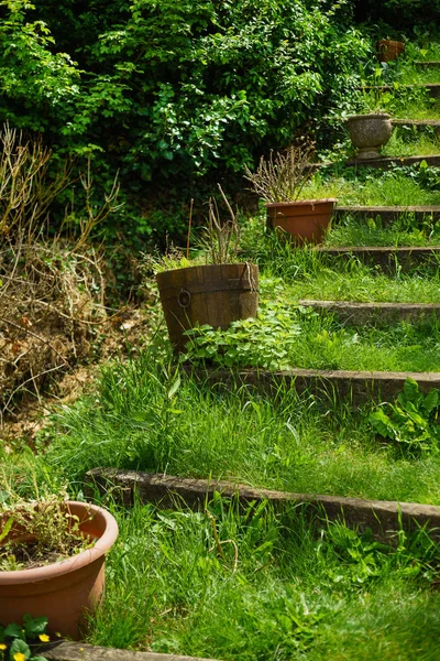 Grass garden steps — Stock Photo, Image