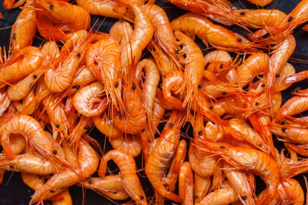 Plate with prerared shrimps — Stock Photo, Image