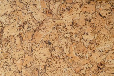 bcork doku yakın çekim