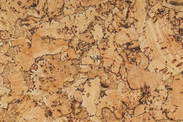 Textura bcork close up — Fotografia de Stock
