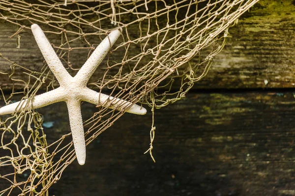 Fischernetz auf Holzgrund — Stockfoto