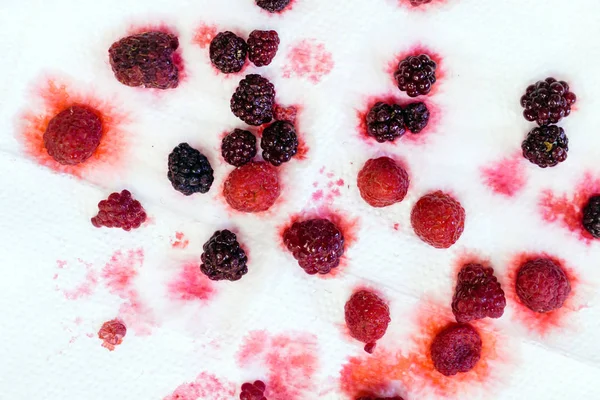 Bright frozen berries — Stock Photo, Image