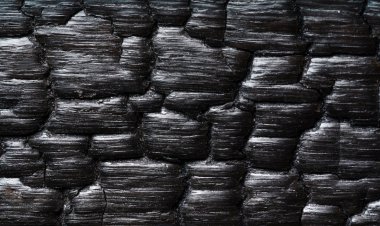 Ahşap yanmış doku