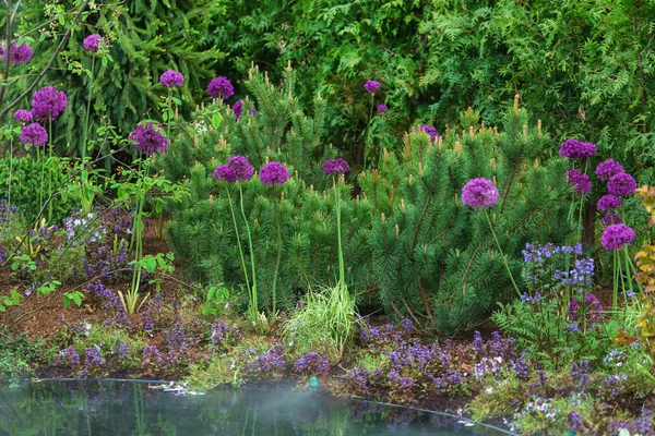 Giardino verde estivo — Foto Stock