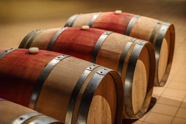 Barris de vinho de madeira — Fotografia de Stock