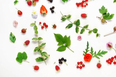 çilek, yaprakları ve beyaz çiçekler 