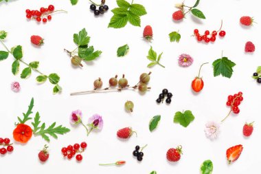 çilek, yaprakları ve beyaz çiçekler 