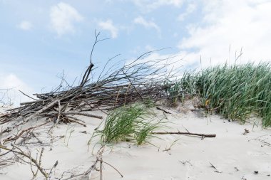 Baltık Denizi görünümü