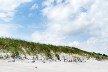 Baltık Denizi görünümü