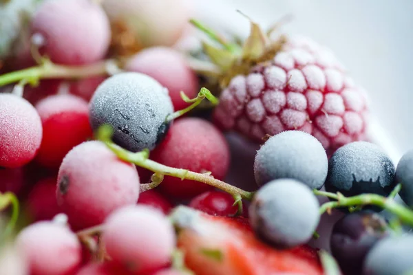 Яскраві ягоди заморожені — стокове фото