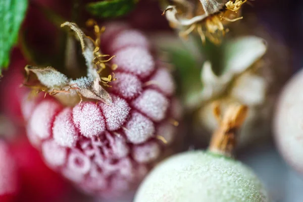 Leuchtend gefrorene Beeren — Stockfoto