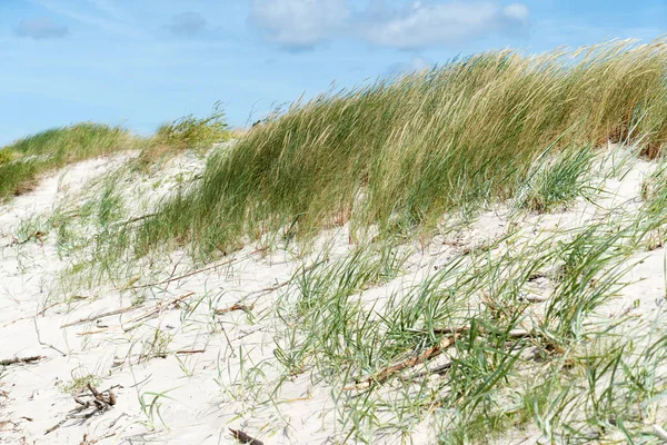 Blick auf die Ostsee — Stockfoto