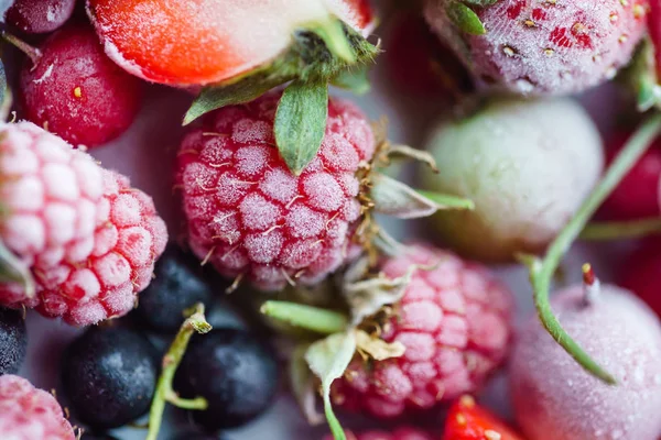 Leuchtend gefrorene Beeren — Stockfoto