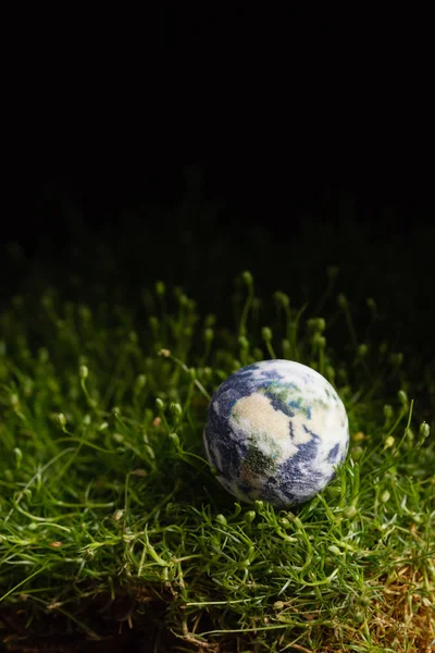 Forma de globo mundial de grama — Fotografia de Stock