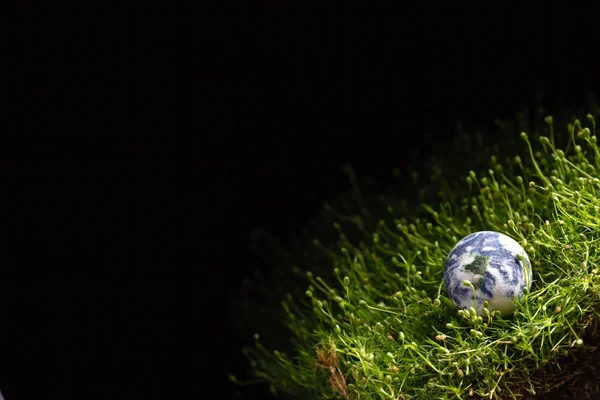 Forma de globo mundial de grama — Fotografia de Stock