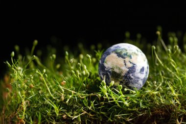 Dünya küre şeklinde çimen