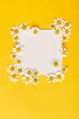 papatya çiçekleri boş oyun kağıdı