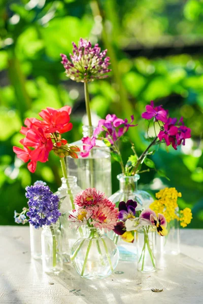 Летние цветы в вазах — стоковое фото