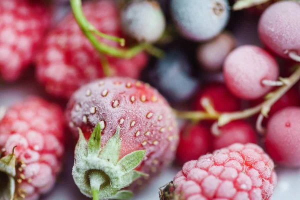 Dondurulmuş çilek portre