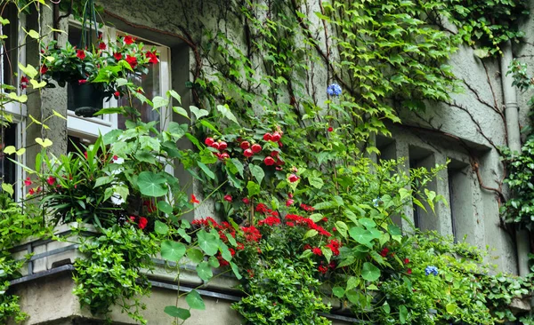 Bellissimo balcone con fiori — Foto Stock
