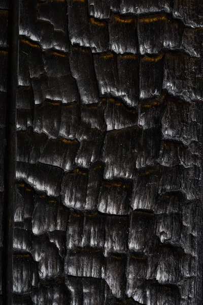 Texture di legno bruciato — Foto Stock